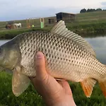 Szczesliwe Siedlisko *