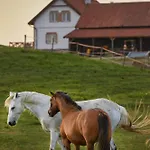 Szczesliwe Siedlisko Апартаменты Rumy