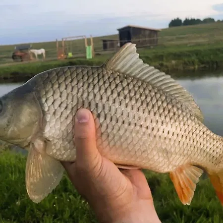 Szczesliwe Siedlisko *
