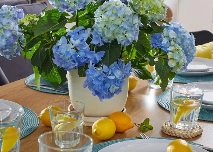 Szczęśliwe Siedlisko *