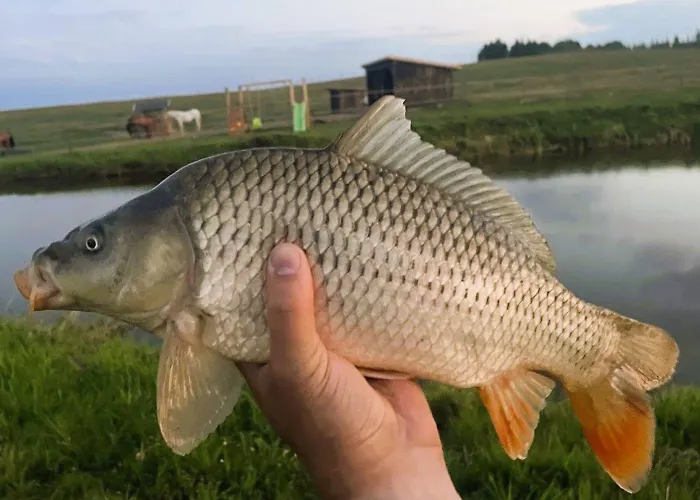 Szczęśliwe Siedlisko *