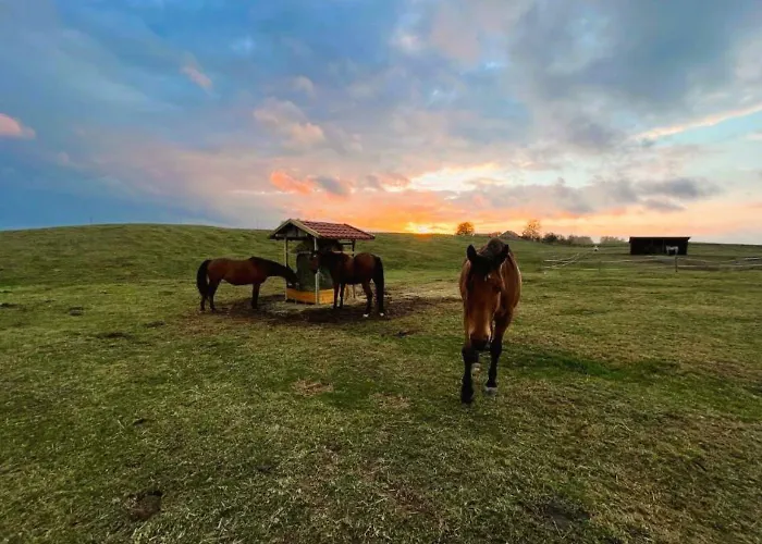 Apartament Szczęśliwe Siedlisko