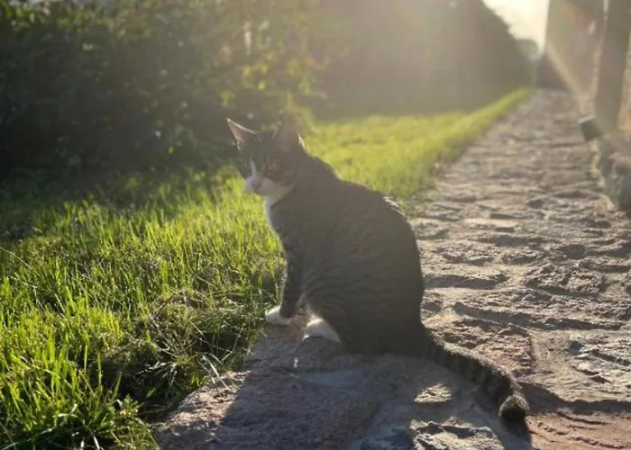 Apartament Szczęśliwe Siedlisko