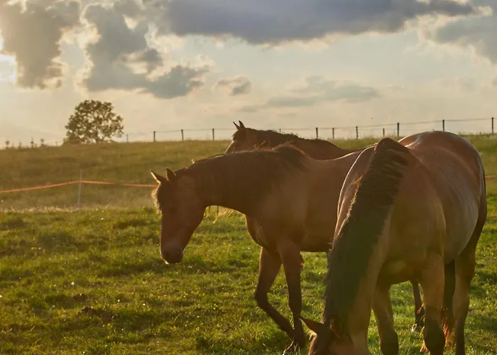 Szczęśliwe Siedlisko