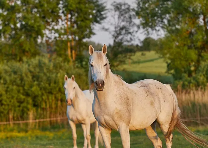 Szczęśliwe Siedlisko Apartament