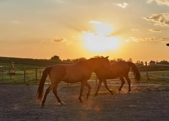 Apartament Szczęśliwe Siedlisko