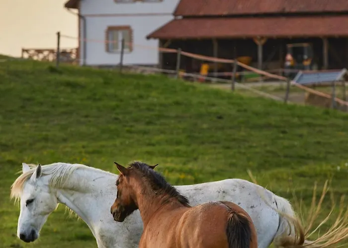 Szczęśliwe Siedlisko Apartament Rumy