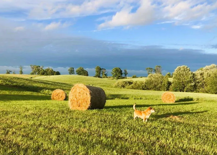 Szczęśliwe Siedlisko