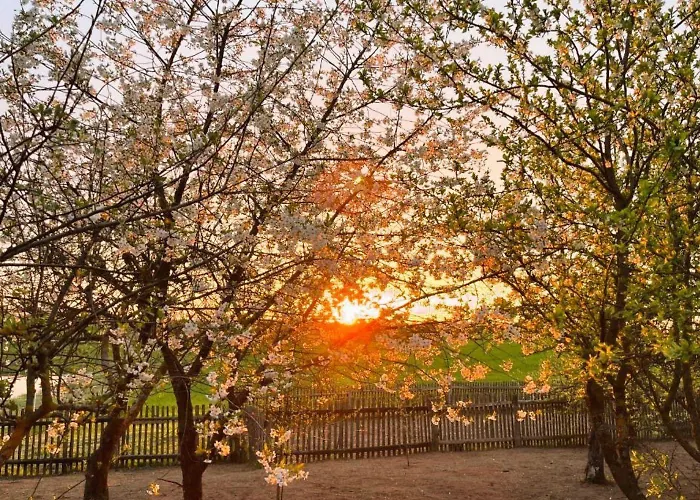 Szczęśliwe Siedlisko