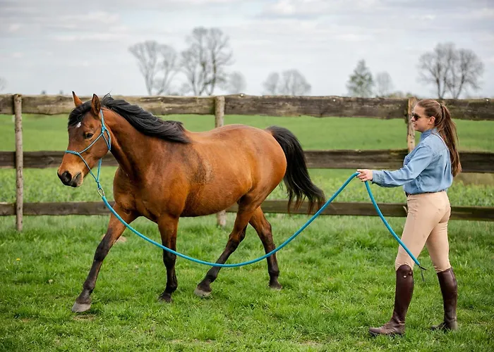 Szczęśliwe Siedlisko Apartament Rumy
